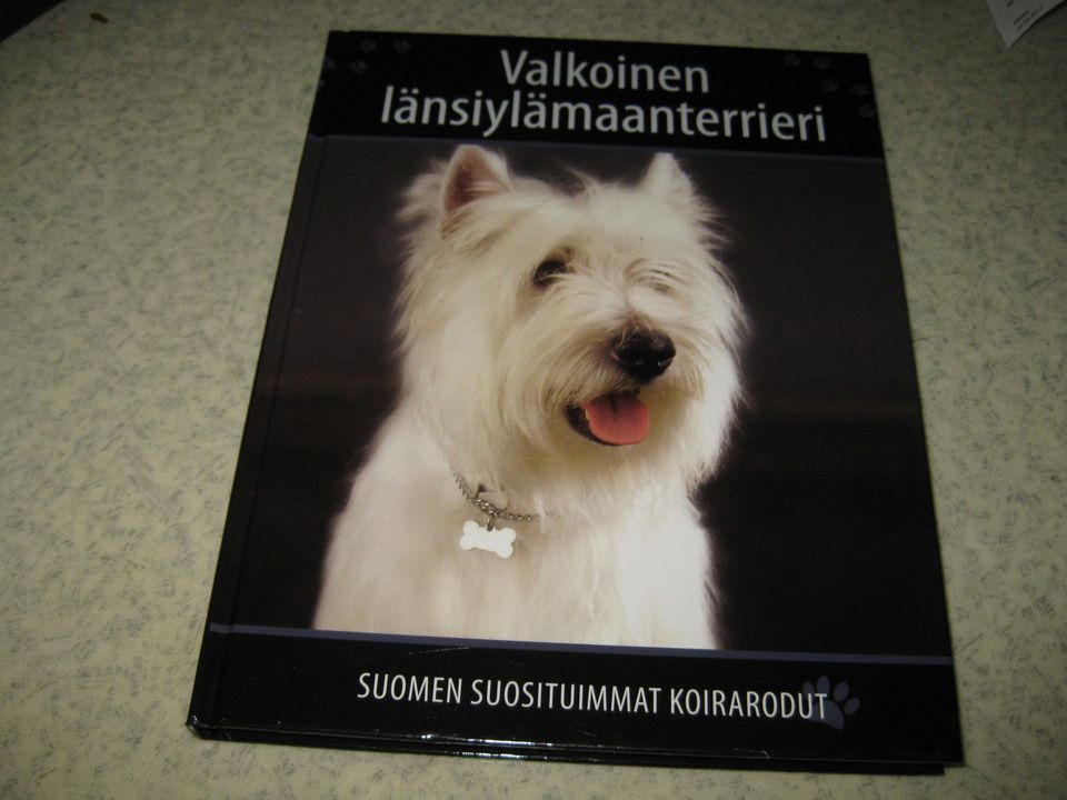 Valkoinen länsiylämaanterrieri