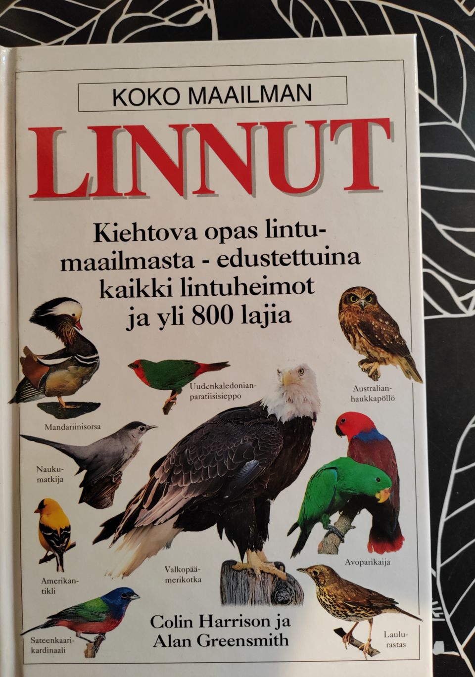 Ilmoituksen kuva