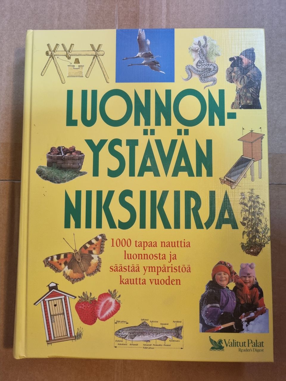 Ilmoituksen kuva