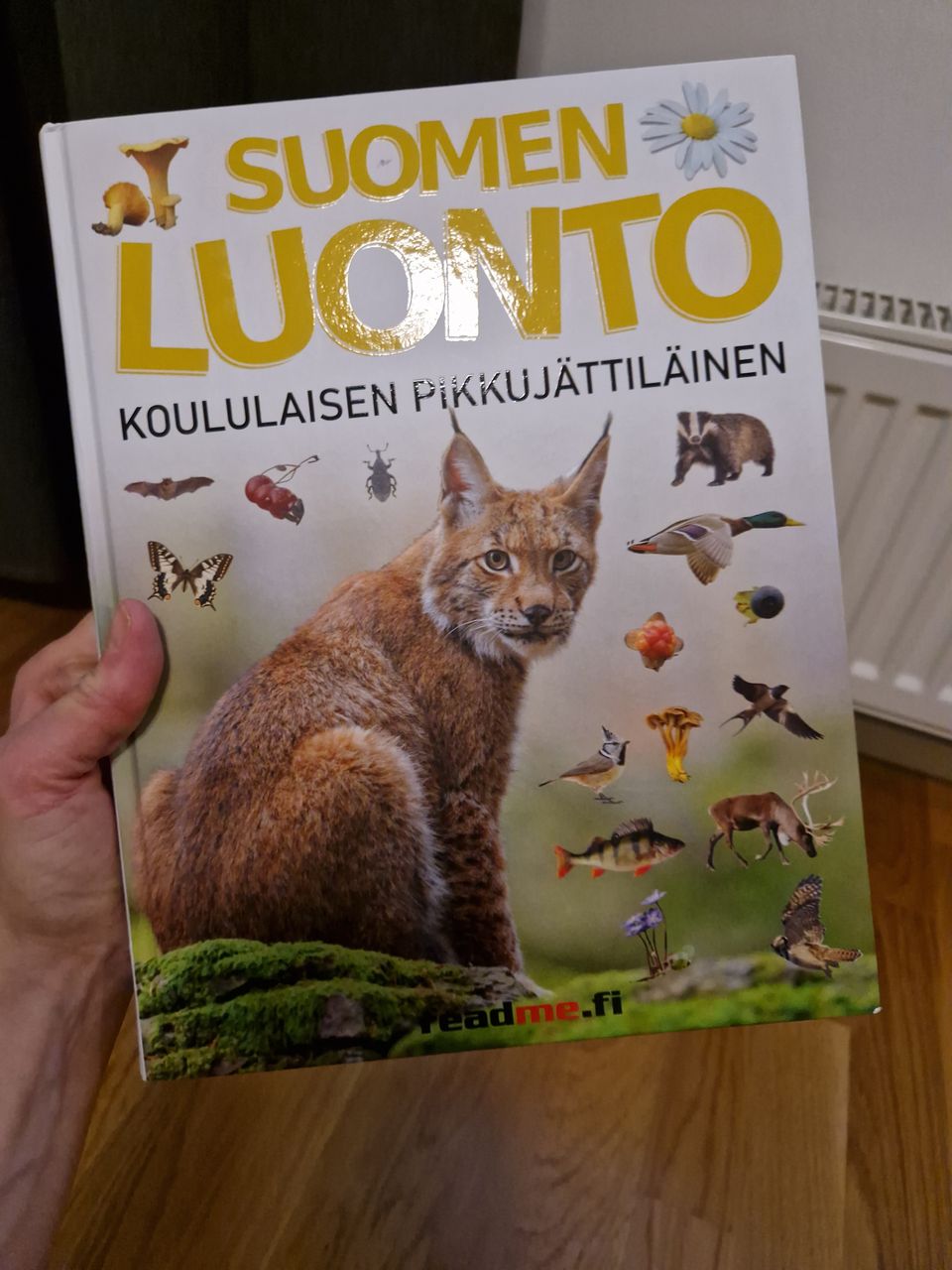 Ilmoituksen kuva