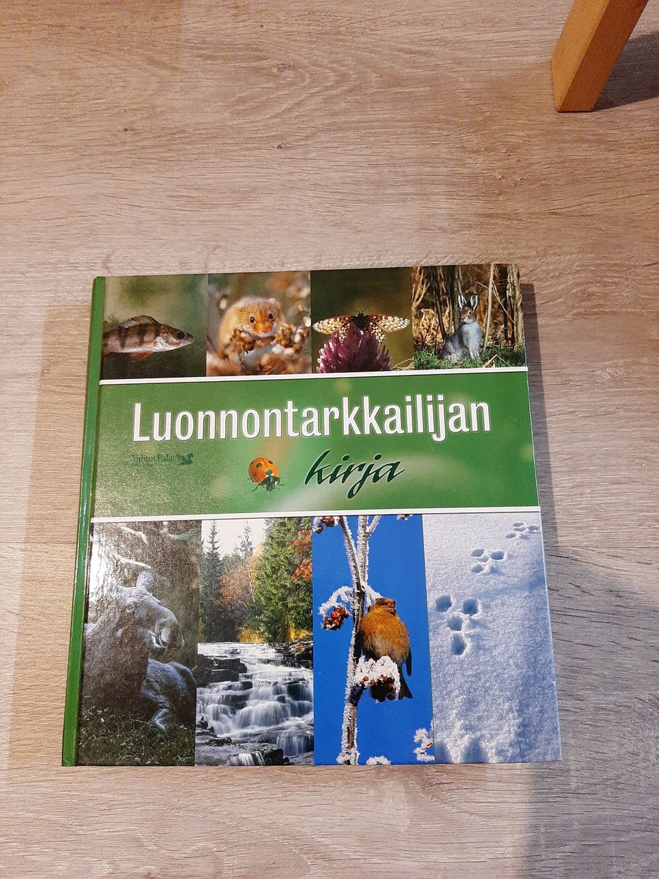 Ilmoituksen kuva