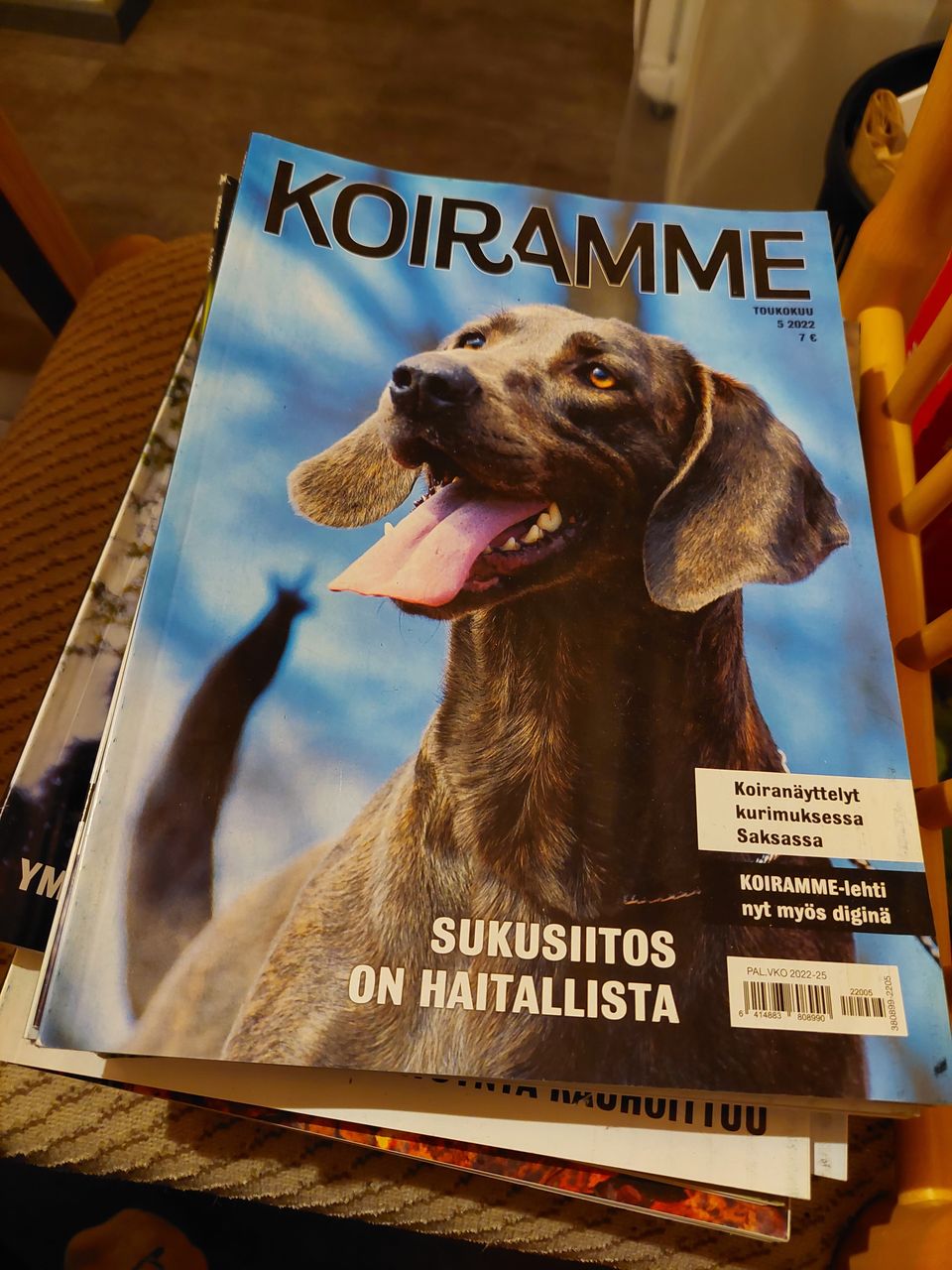 Ilmoituksen kuva