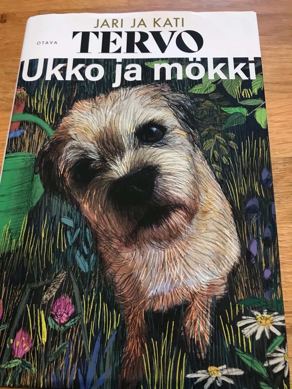 Ilmoituksen kuva