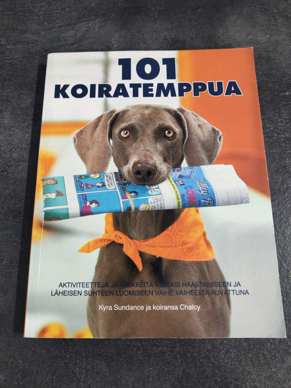 Ilmoituksen kuva