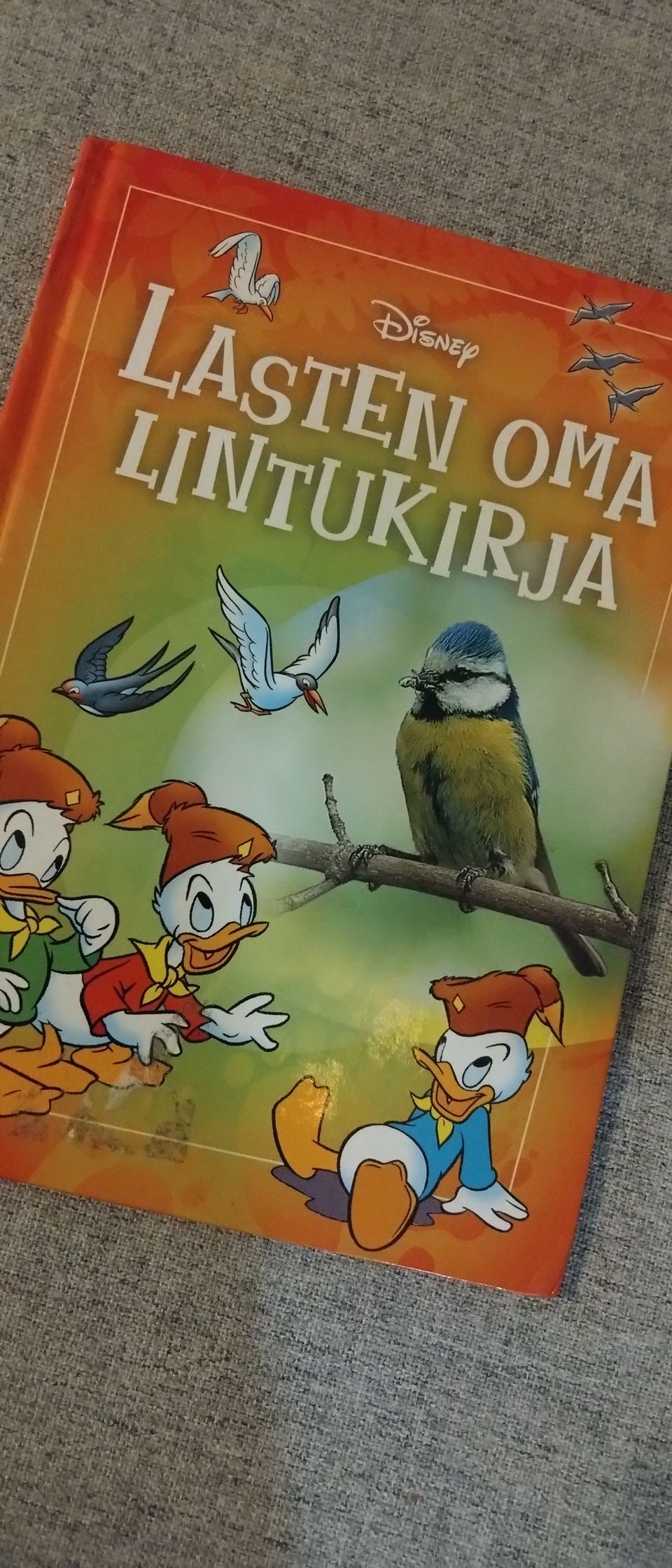 Ilmoituksen kuva