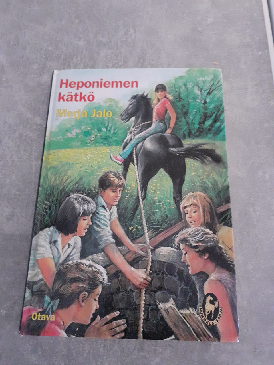 Ilmoituksen kuva