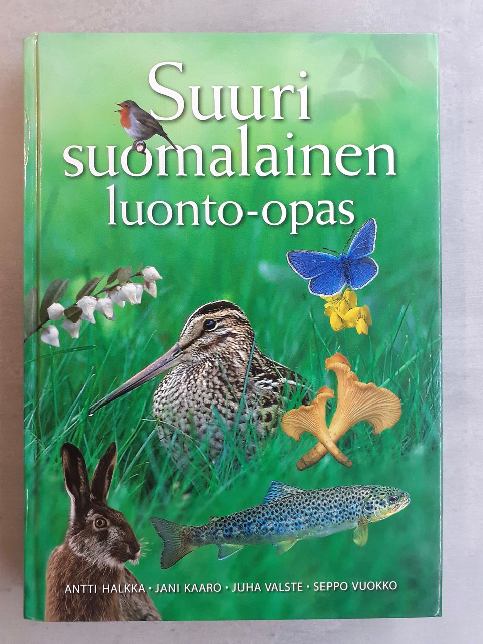 Ilmoituksen kuva