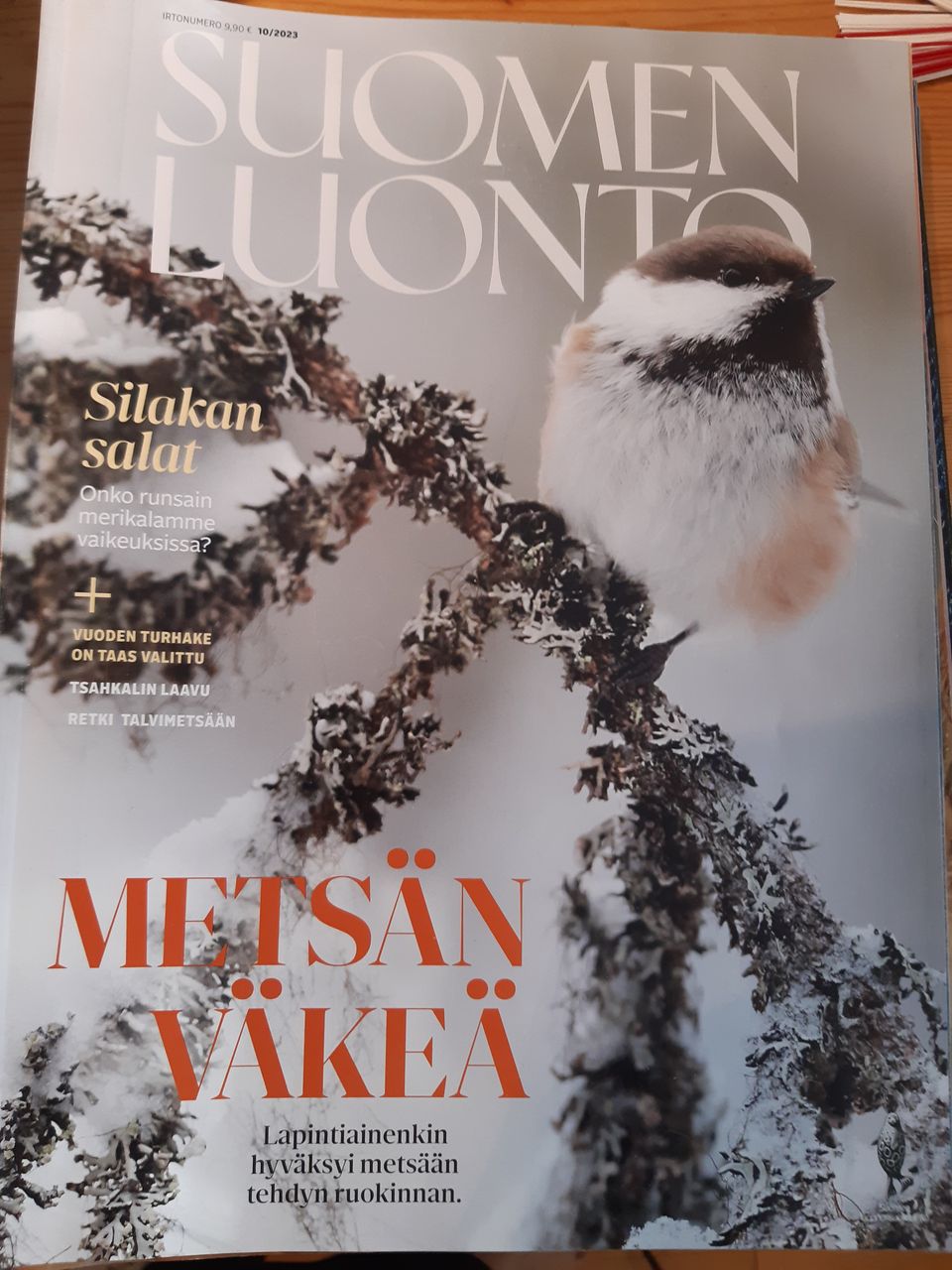 Ilmoituksen kuva