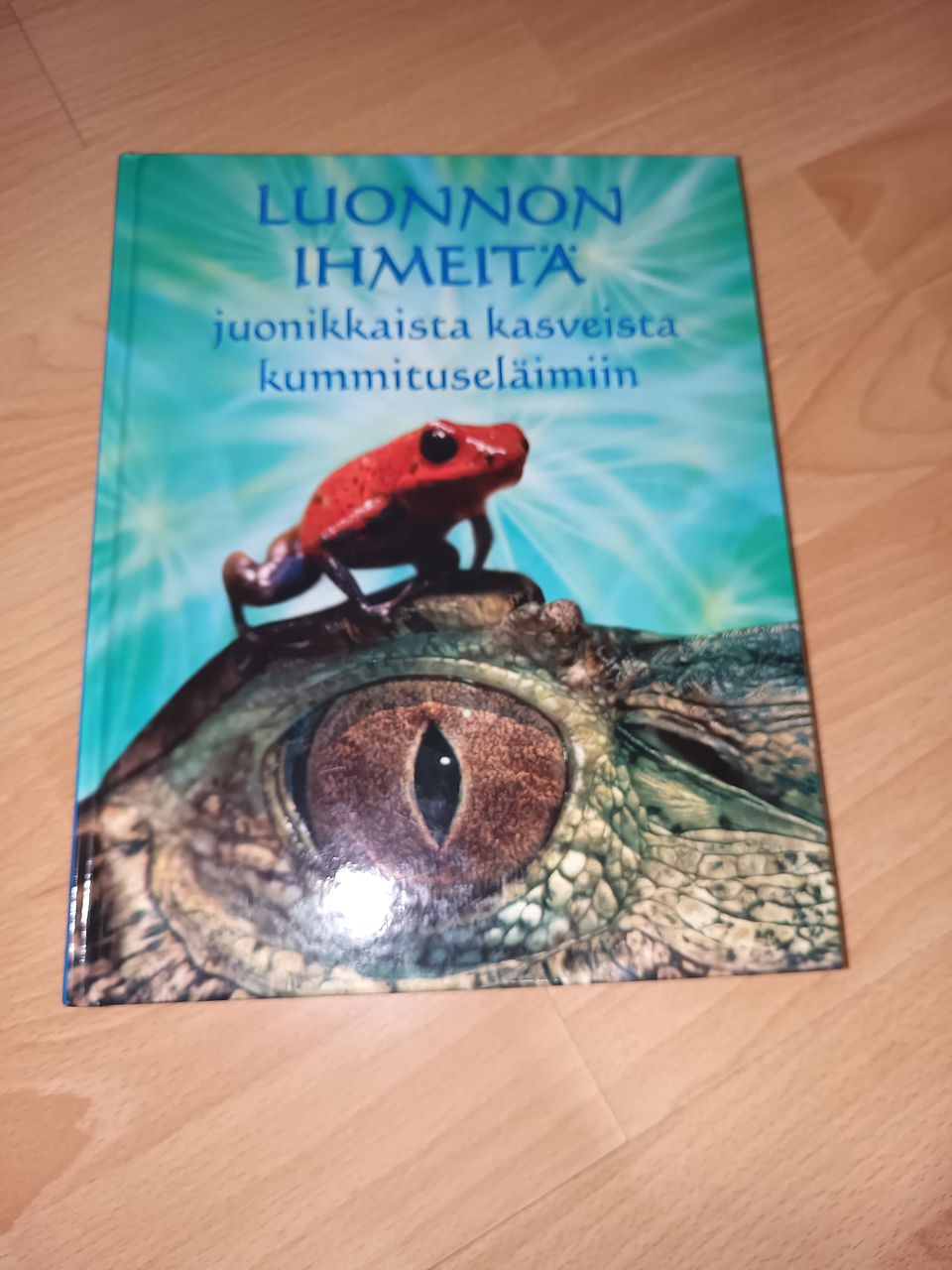 Ilmoituksen kuva