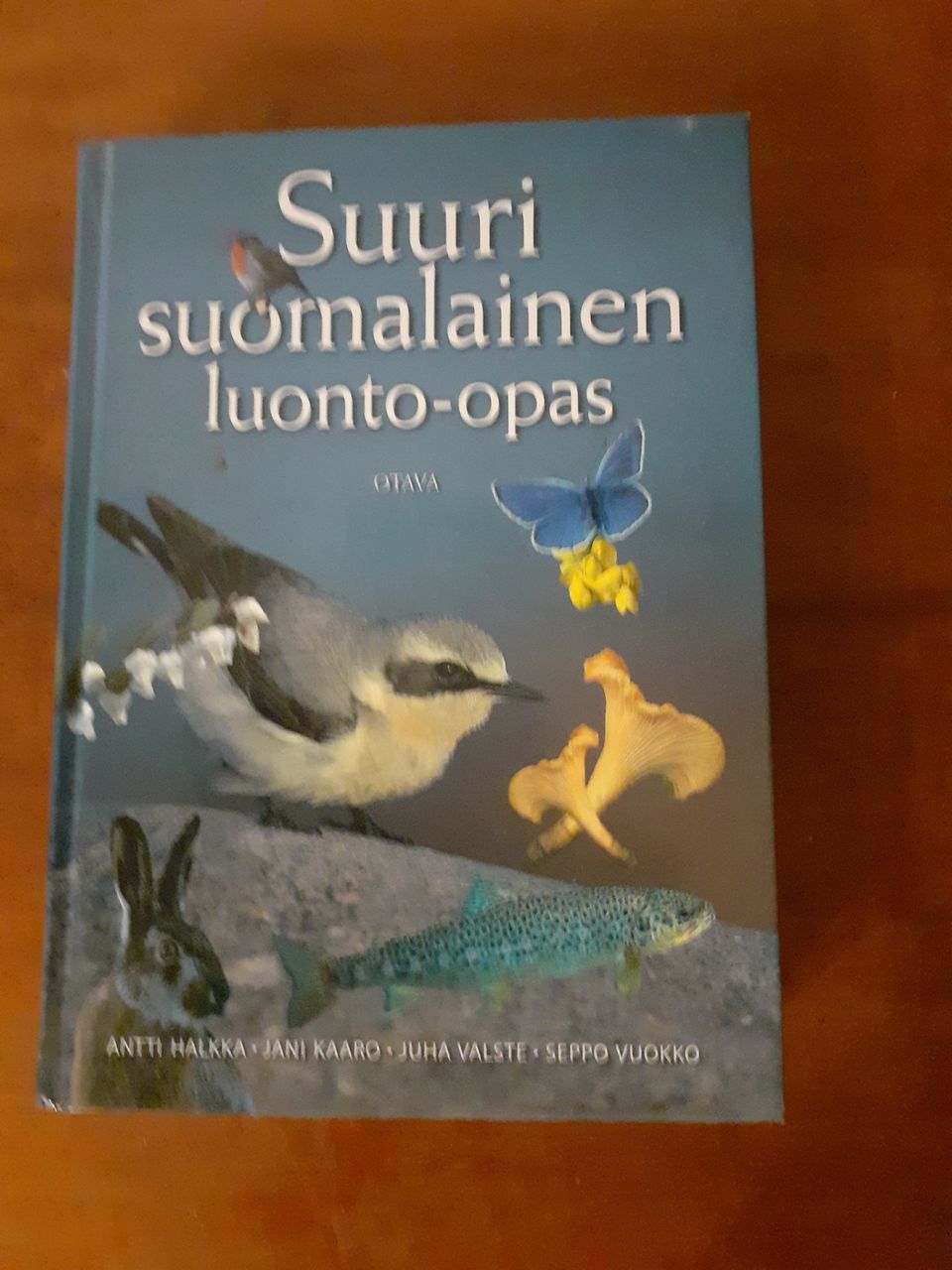 Ilmoituksen kuva