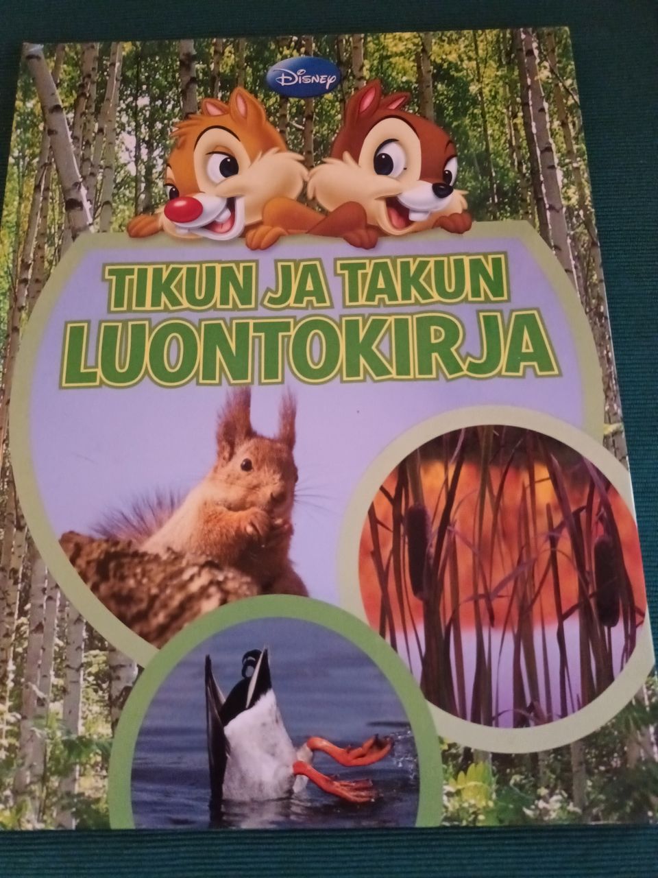 Ilmoituksen kuva