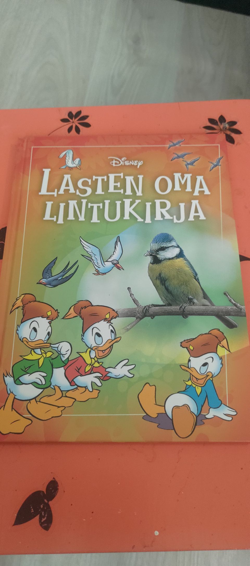 Ilmoituksen kuva