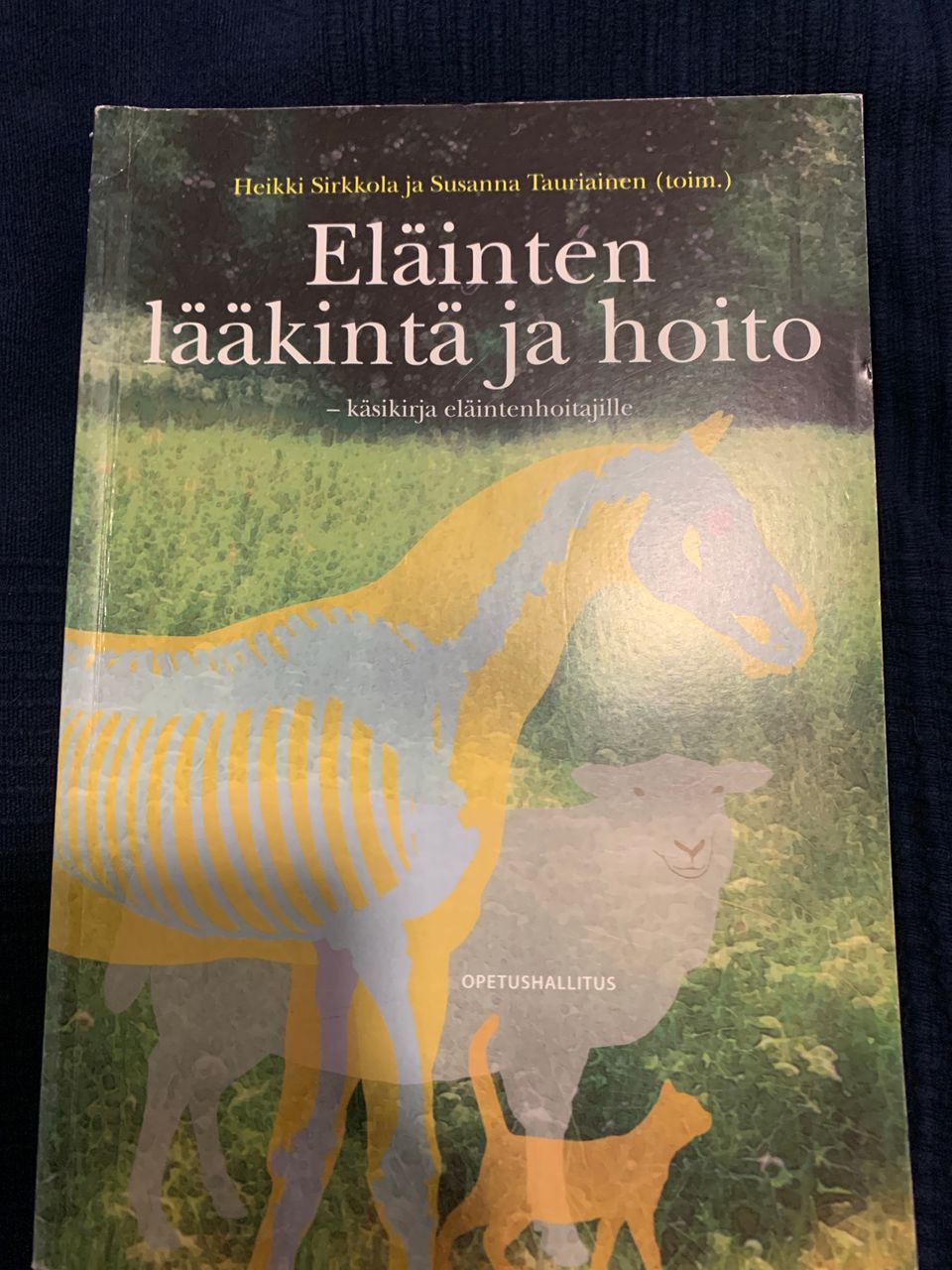 Ilmoituksen kuva