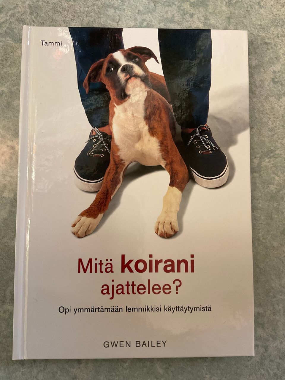 Ilmoituksen kuva