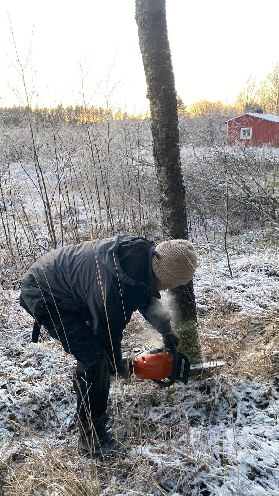 Ilmoituksen kuva