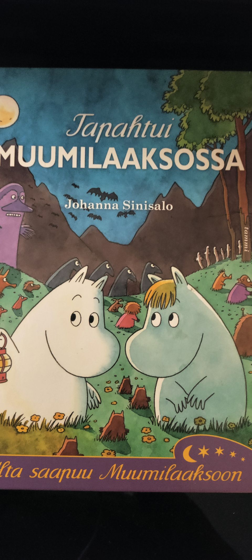 Ilmoituksen kuva