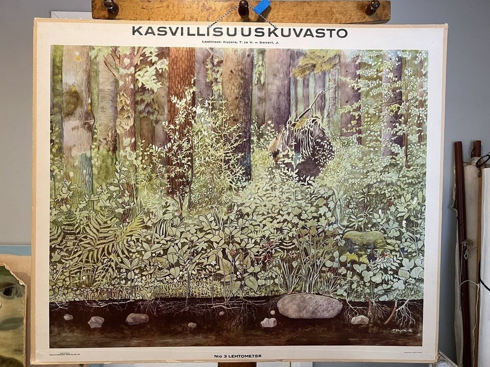 Ilmoituksen kuva