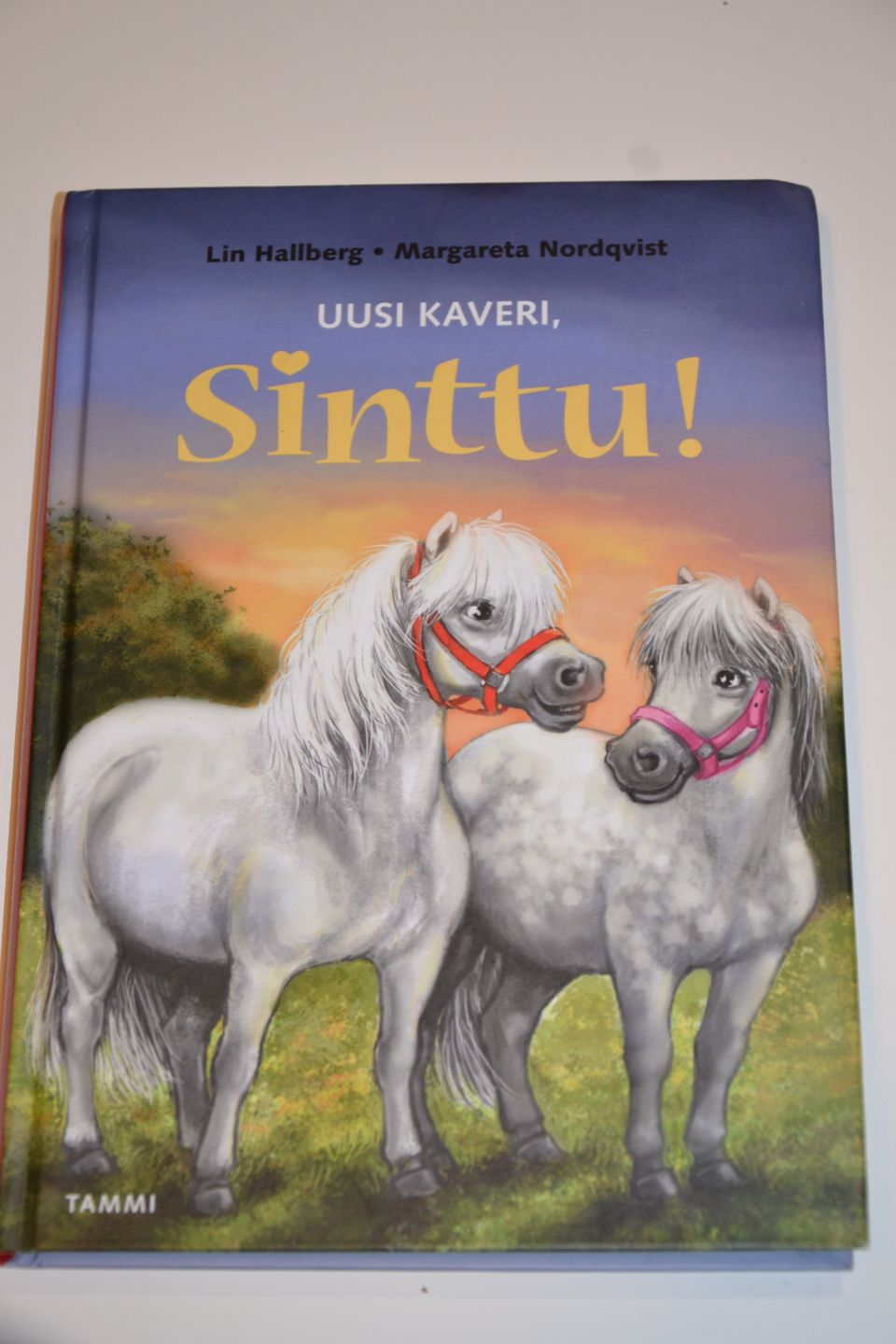 Ilmoituksen kuva