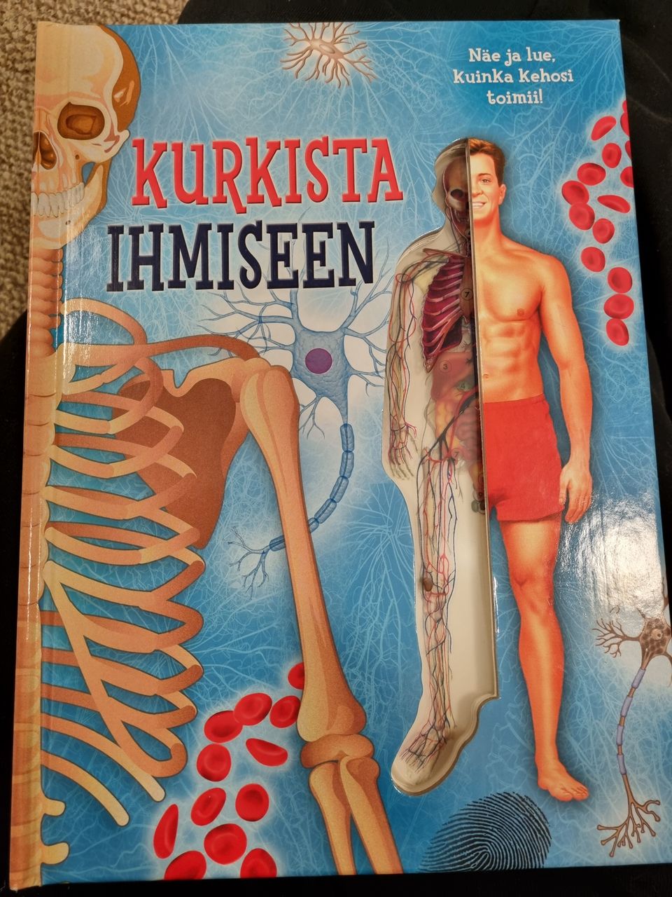 Ilmoituksen kuva