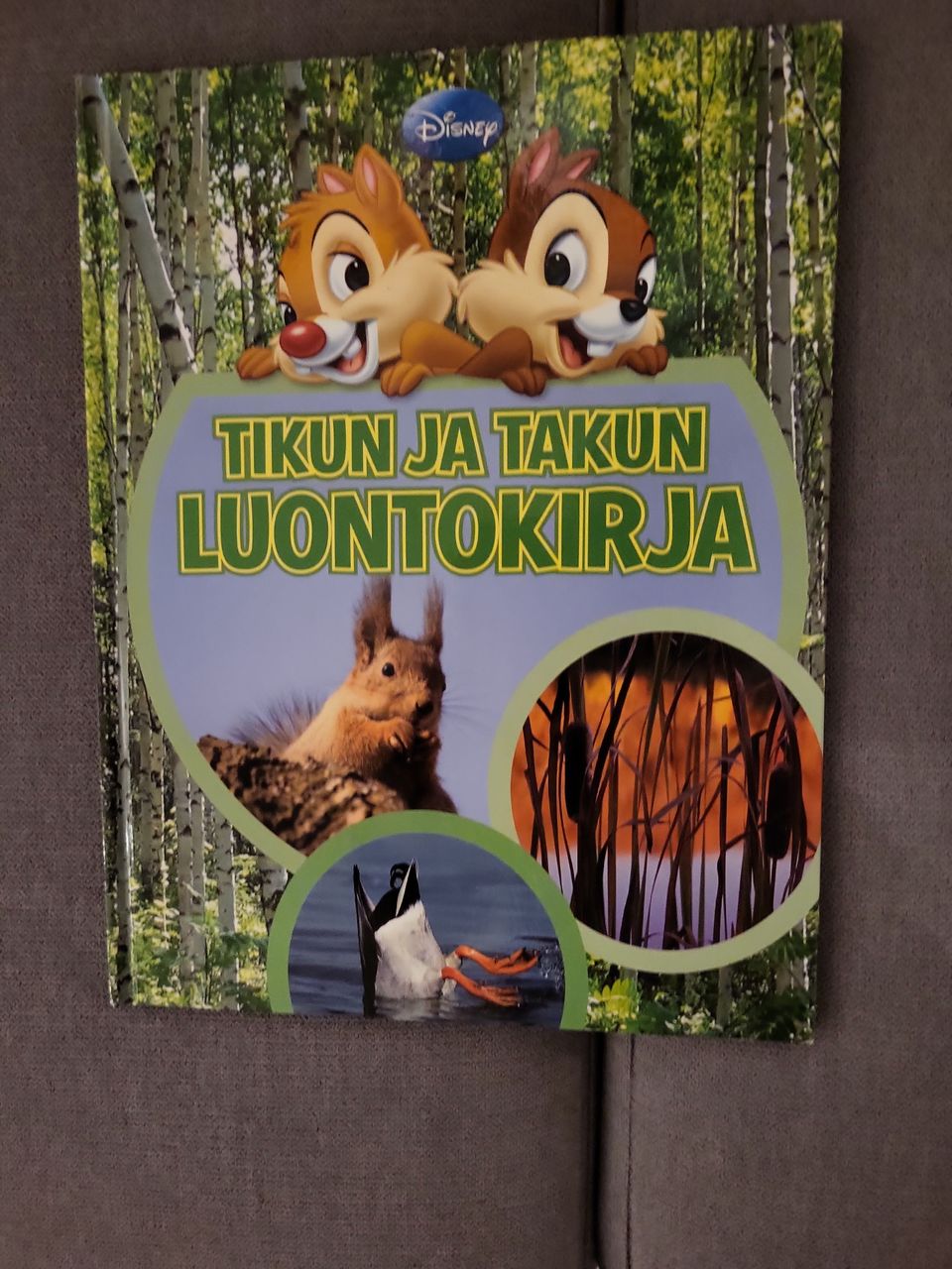 Ilmoituksen kuva