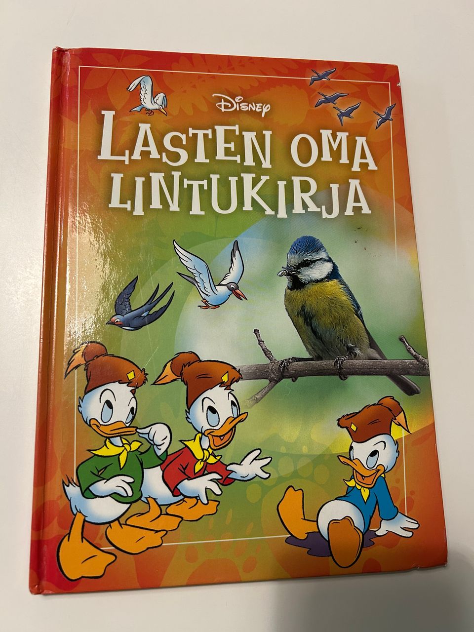 Ilmoituksen kuva