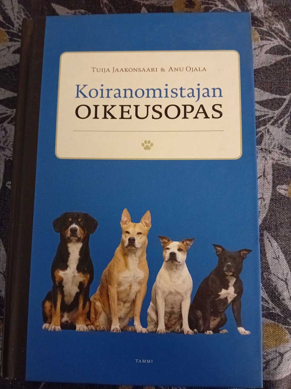 Ilmoituksen kuva