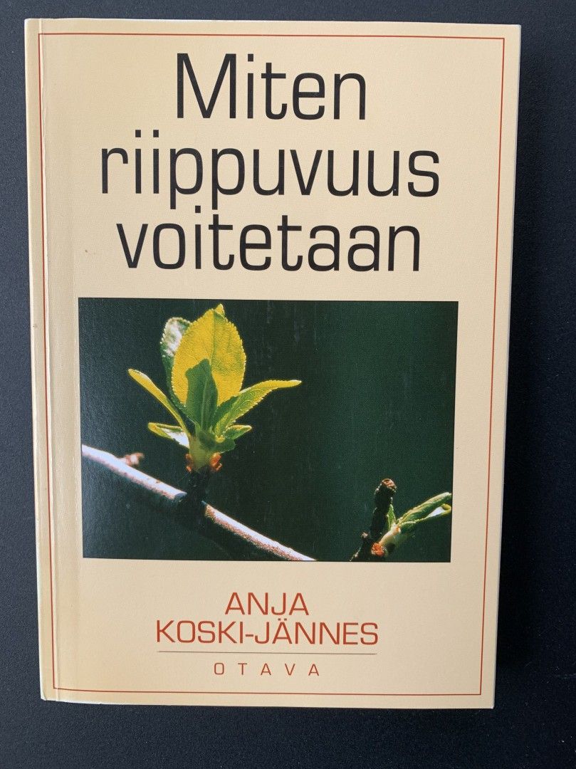 Anja Koski-Jännes : Miten riippuvuus voitetaan
