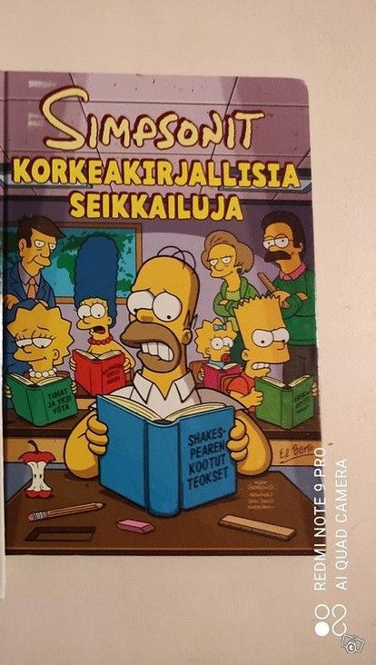 Simpsonit Korkeakirjallisia seikkailuja kirja