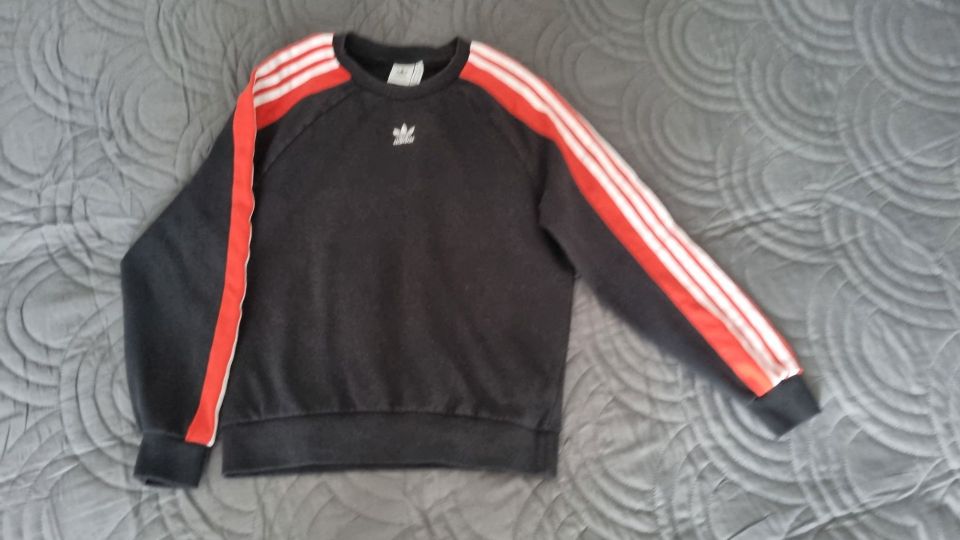 Adidas college, koko XS