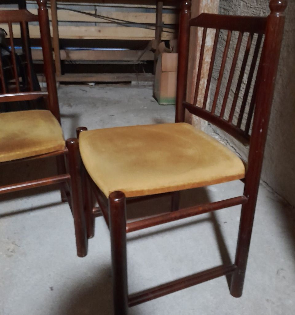 2 tuolia