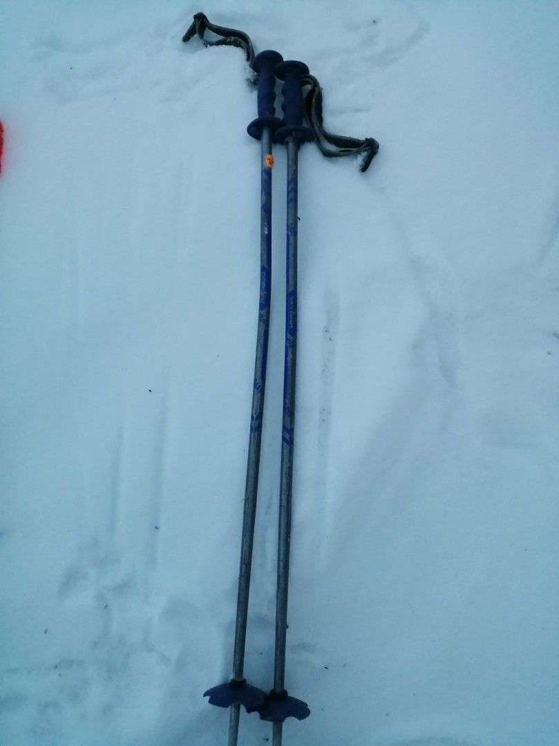 Condor Junior sauvat 85cm