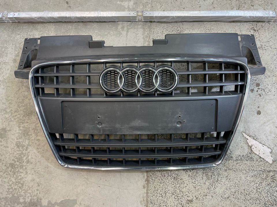 Radiator grille for Audi Tt