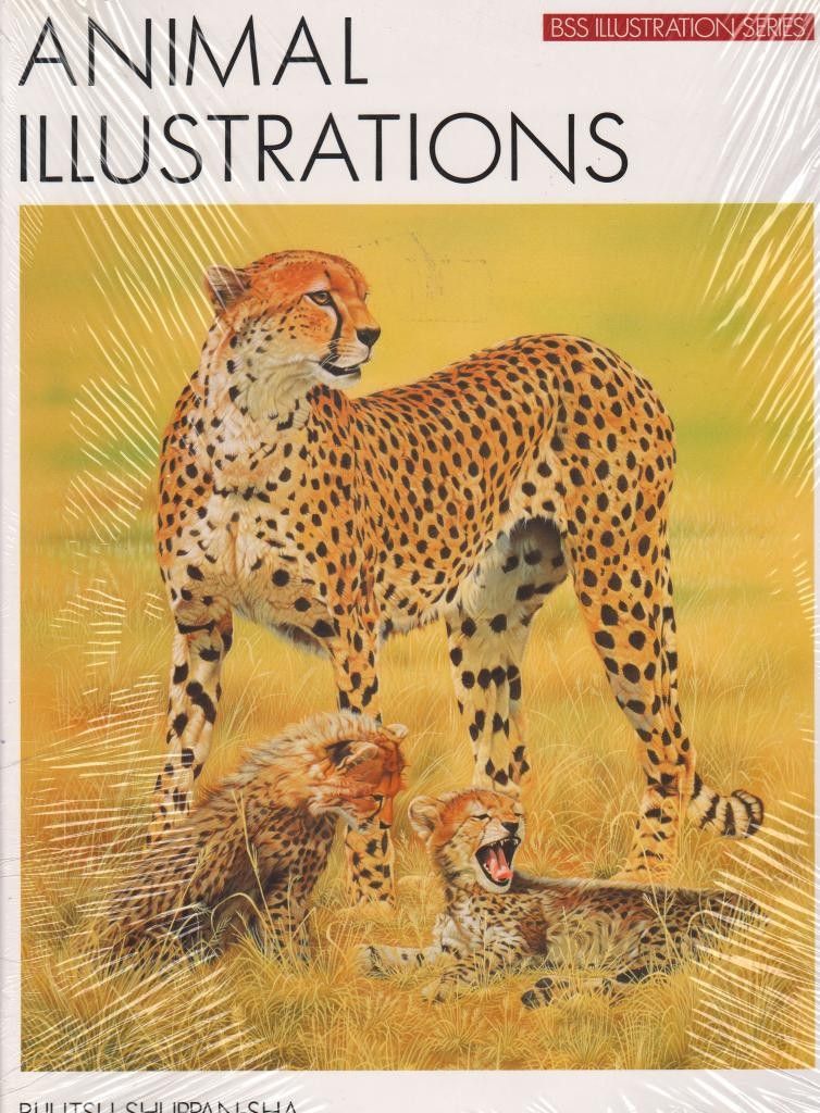 Kirja US 016 Animal Illustrations, Taide
