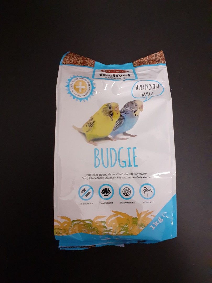 Best Friend Festival Exclusive budgie, 1 kg