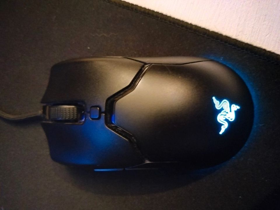 Razer viper mini