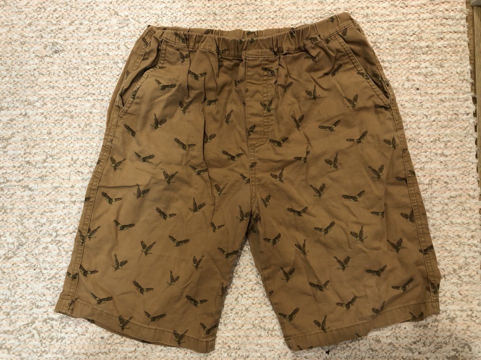 Shortsit Uniqlo 13y