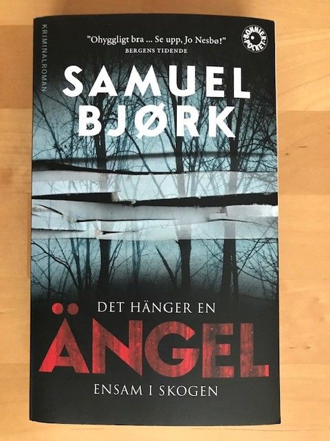 Samuel Björk: Det hänger en ängel ensam i skogen