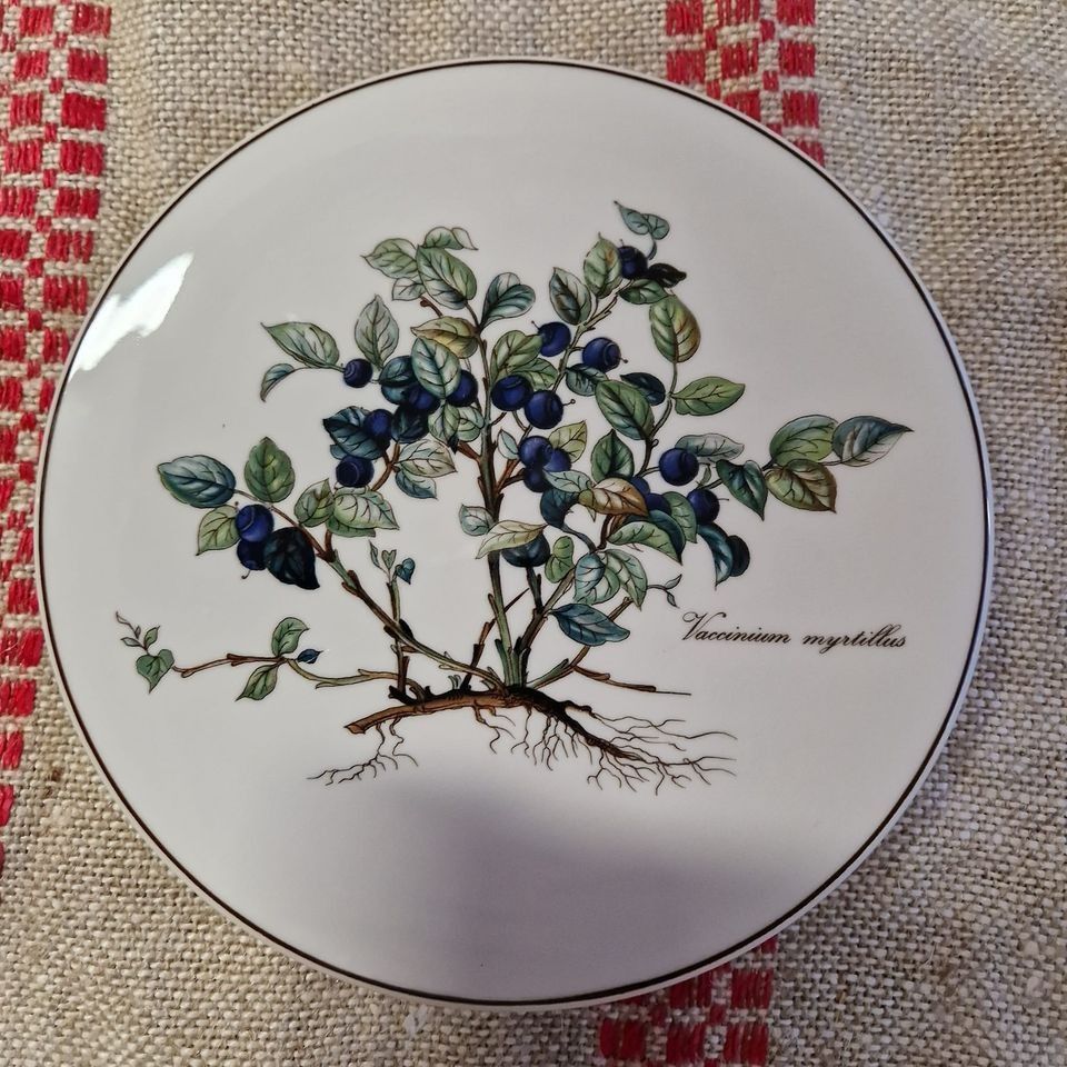 Villeroy&Boch botanica sarja mustikka