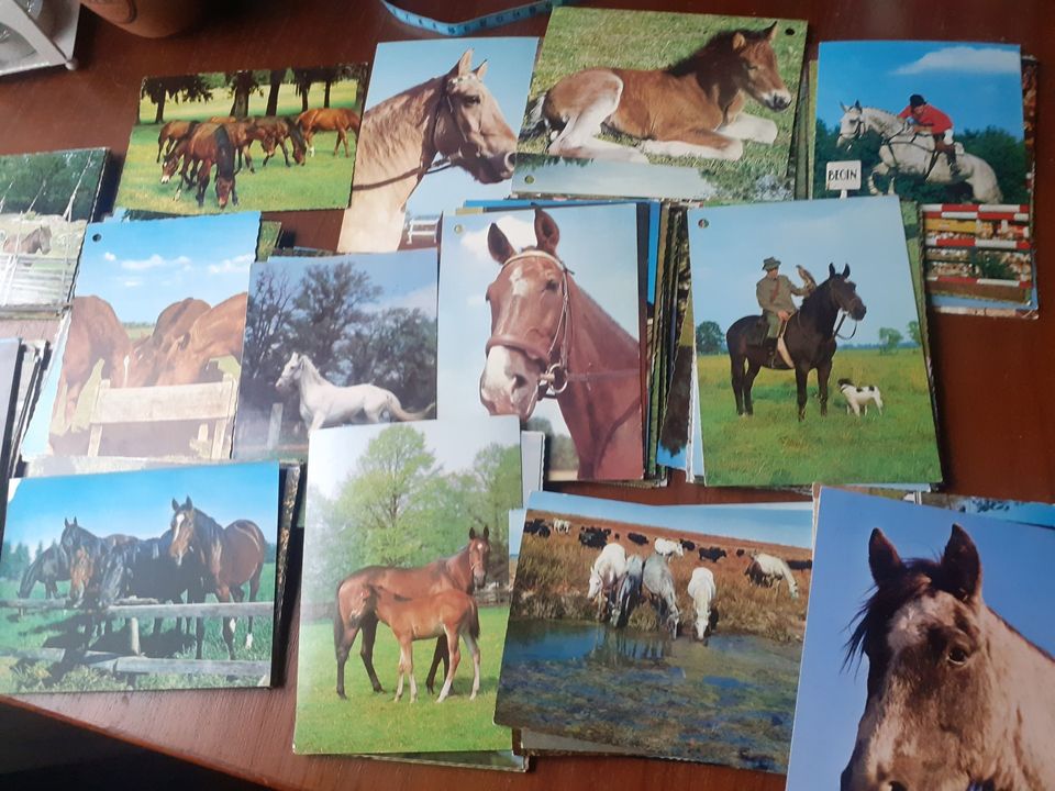 Lähes 200 hevospostikorttia