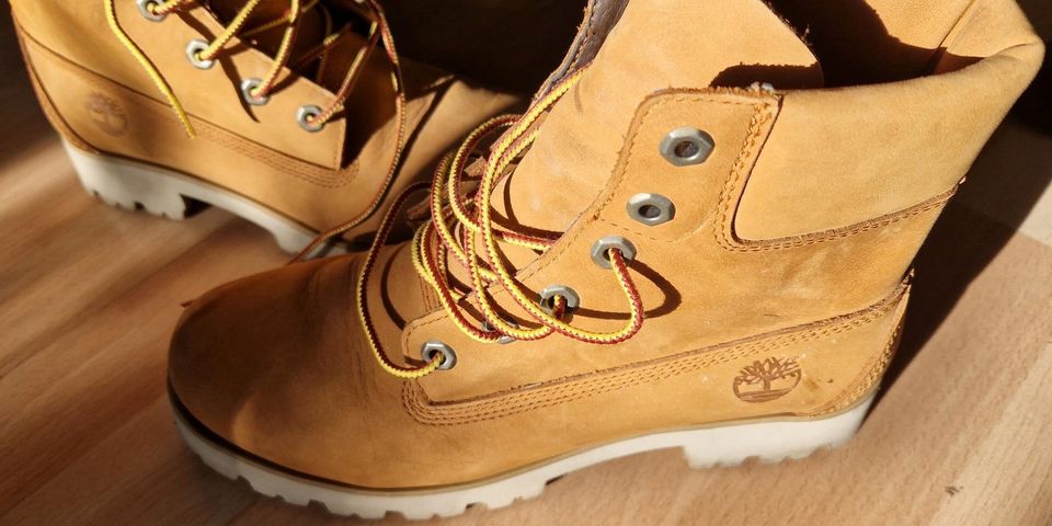 Timberland 6 INCH PREMIUM - Talvisaappaat