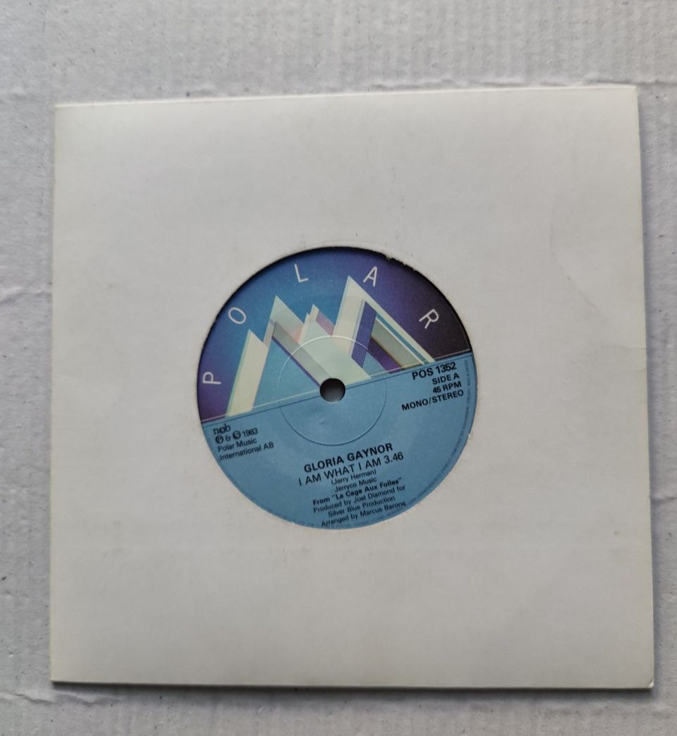 Vinyyli Gloria Gaynor/I Am What I Am 7"/45 rpm