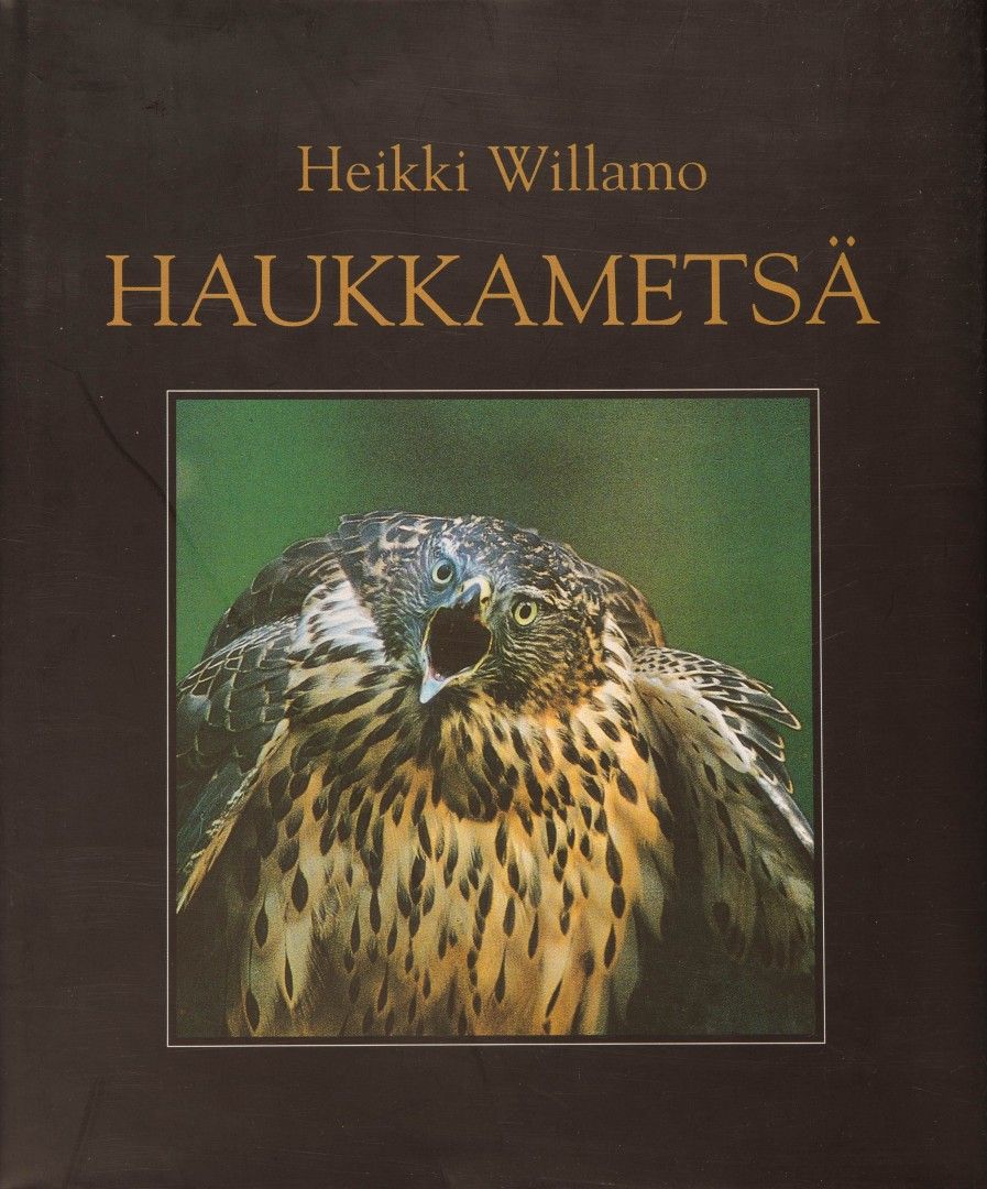 Haukkametsä