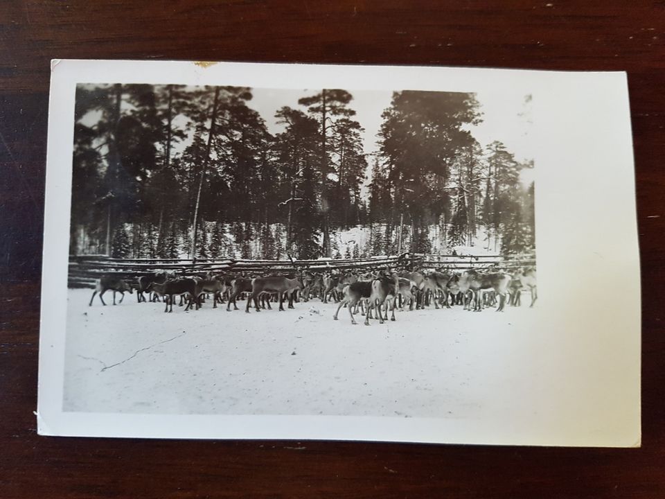 Kemijärvi vk.postikortti 40-luku