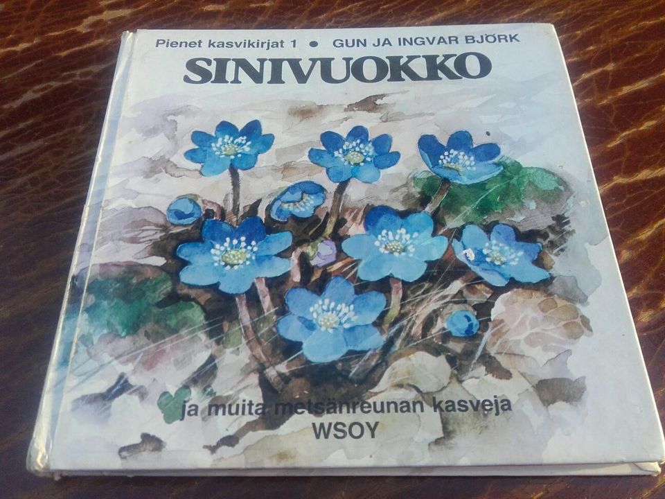 Sinivuokko ja muita metsänreunan kasveja