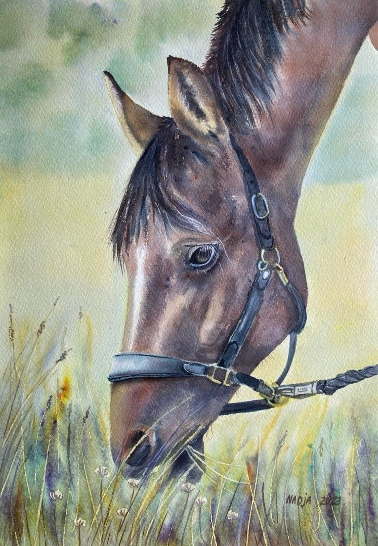 Akvarellimaalaus - Hevonen