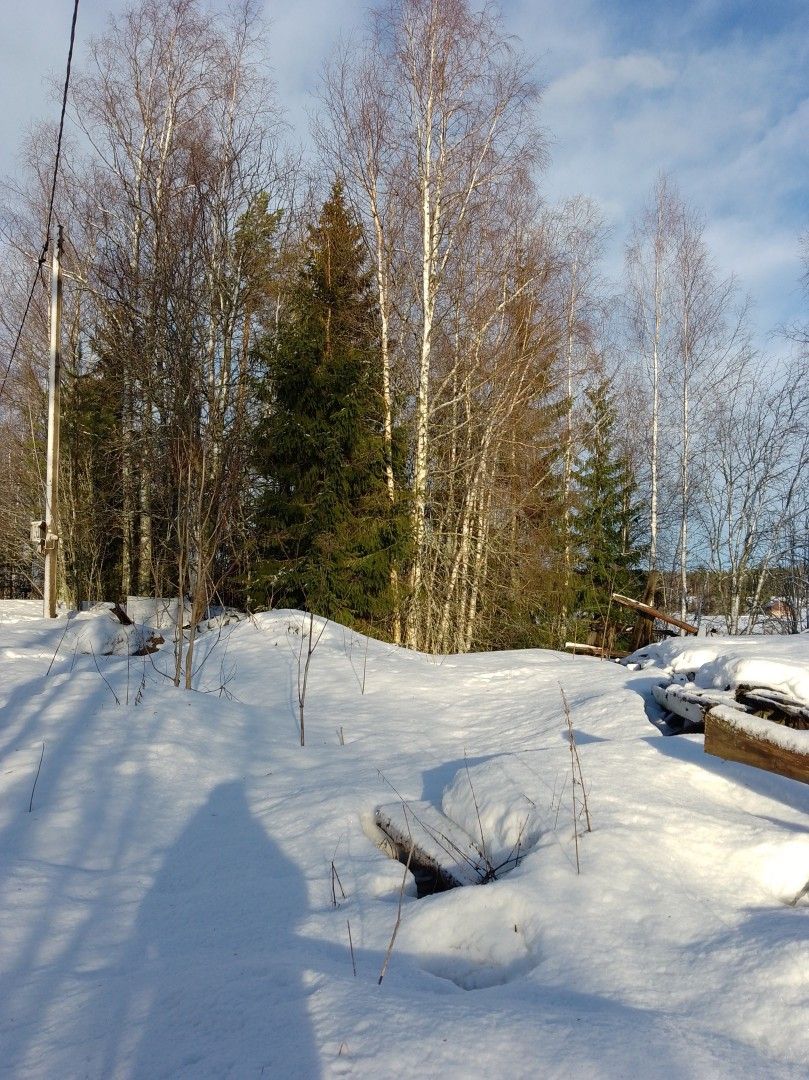 Kaupan puustoa pystykaupalla, rankan tai klapeina