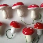 8 erikokoista sientä - 1,60