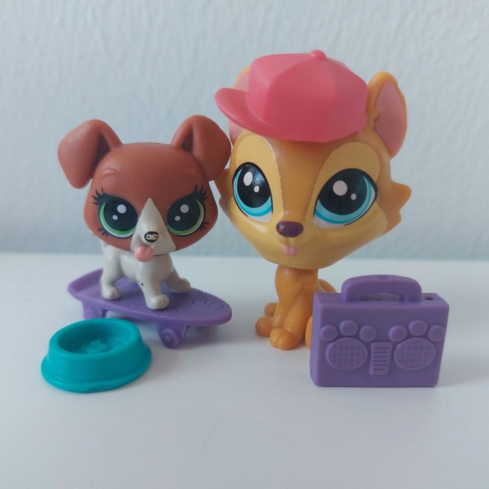 LPS koirasetti