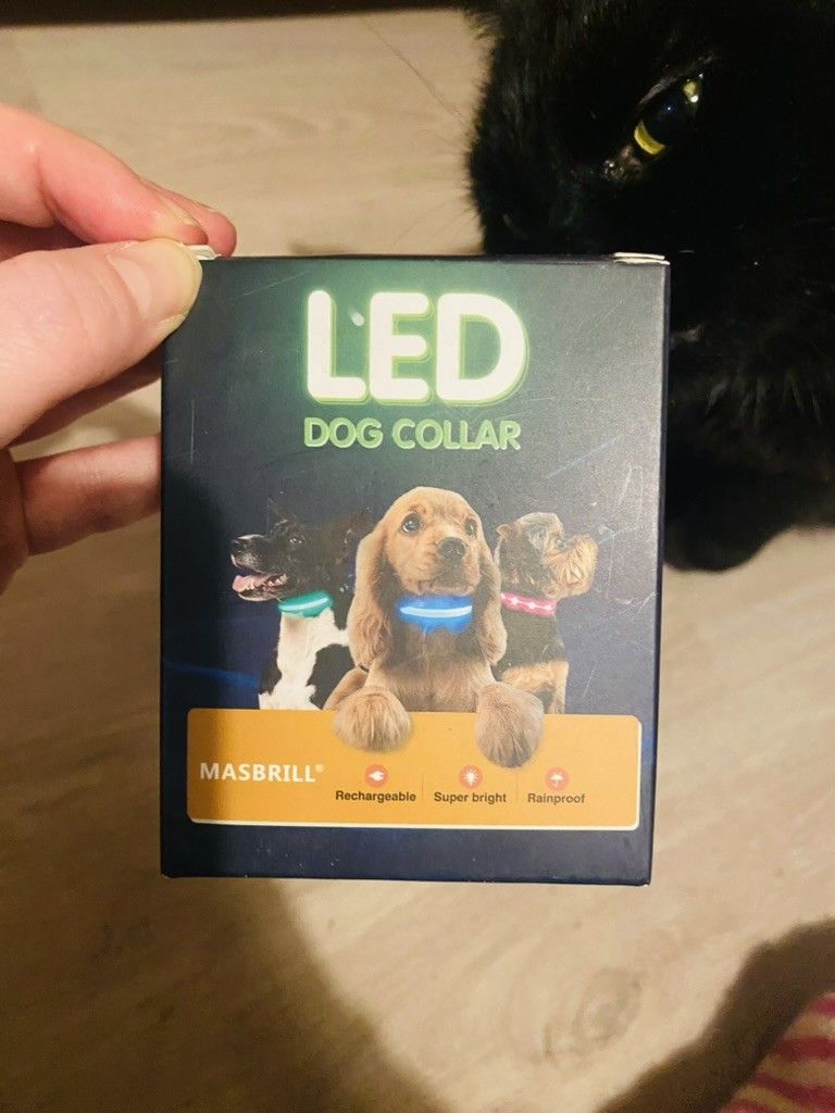 LED Koiranpanta, ladattava, pinkki, medium, täysin uusi