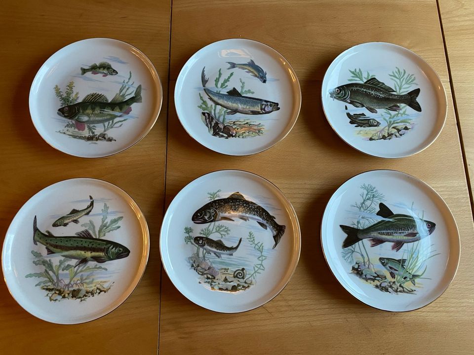 Kala koriste lautaset